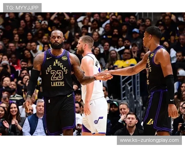 尊龙官方app官网入口用户评价与使用体验分享与建议