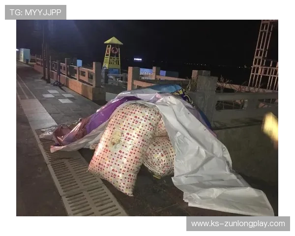 杏鑫娱乐下载常见问题与解决方案全面汇总助你快速排除游戏中遇到的各种问题